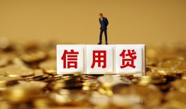 成都13哪有个人借贷-成都13小额贷款公司-成都13私借空放免费上门