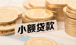 成都13身份证贷款平台-成都13私人借贷不查征信-成都13空放借钱